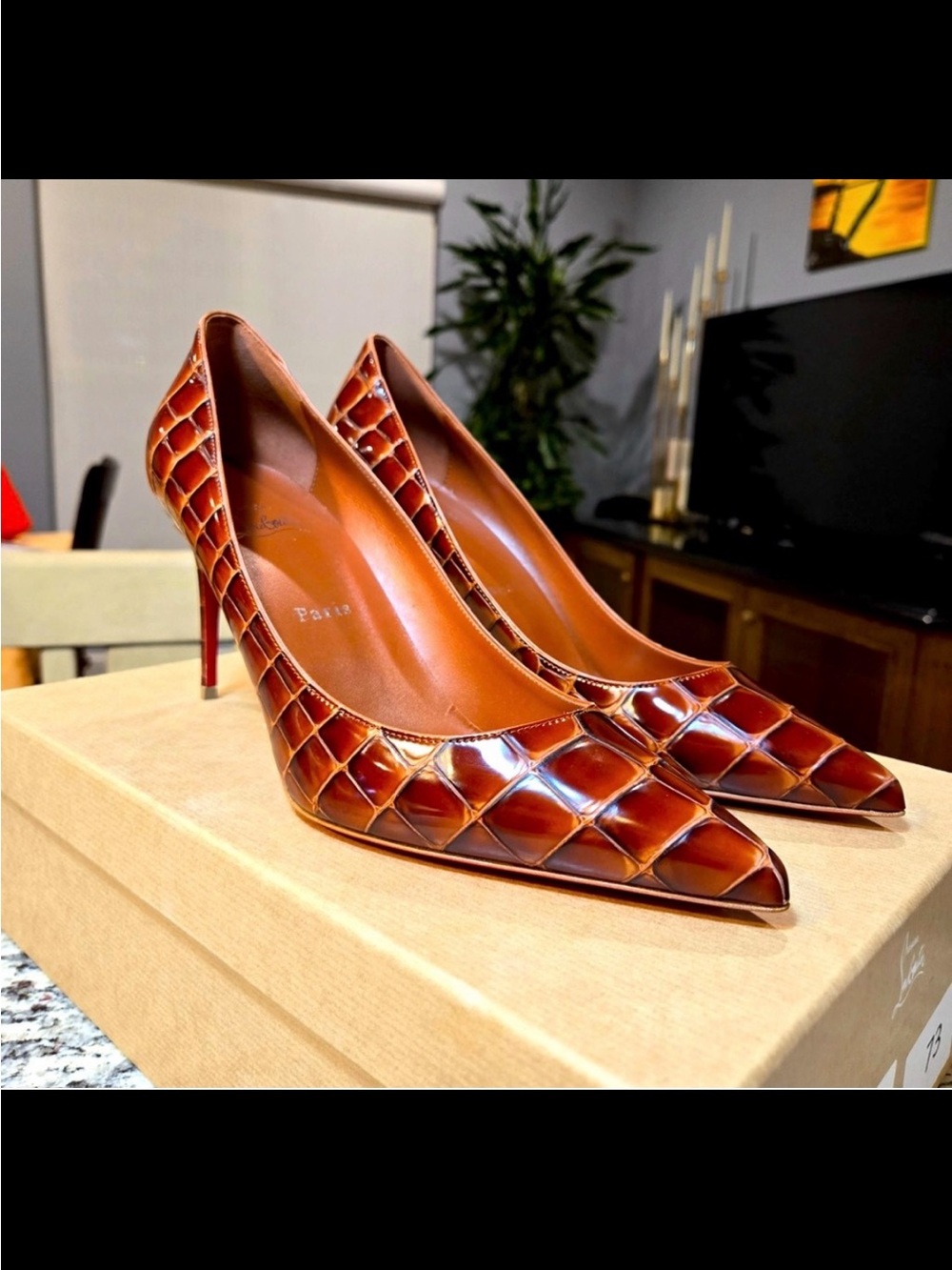CHRISTIAN LOUBOUTIN KATE 85 Crock Calf Ali leather pumps